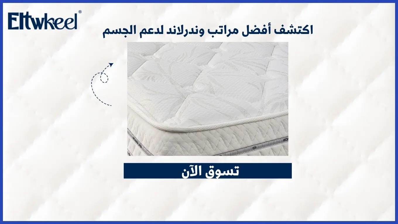 اكتشف أفضل مراتب وندرلاند لدعم الجسم