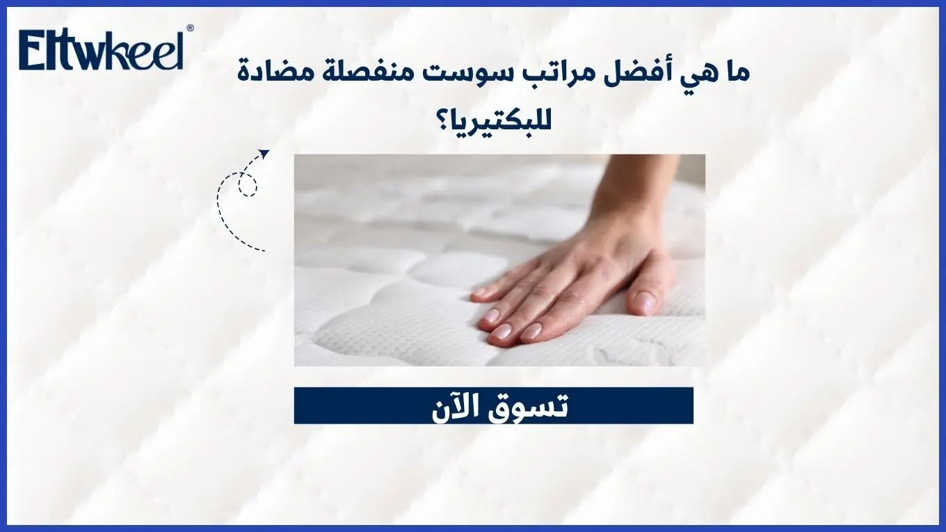 ما هي أفضل مراتب سوست منفصلة مضادة للبكتيريا؟