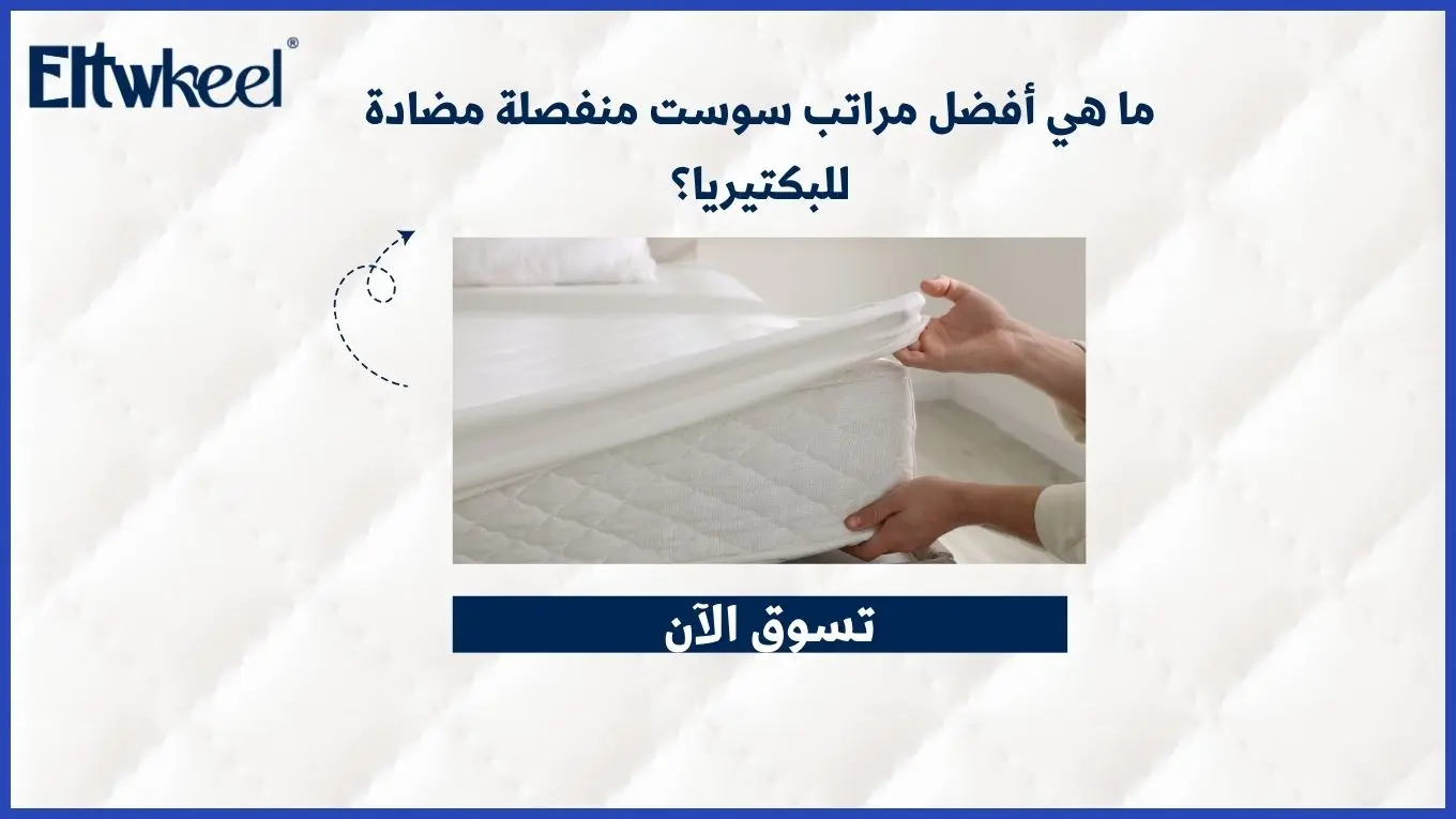 ما هي أفضل مراتب سوست منفصلة مضادة للبكتيريا؟