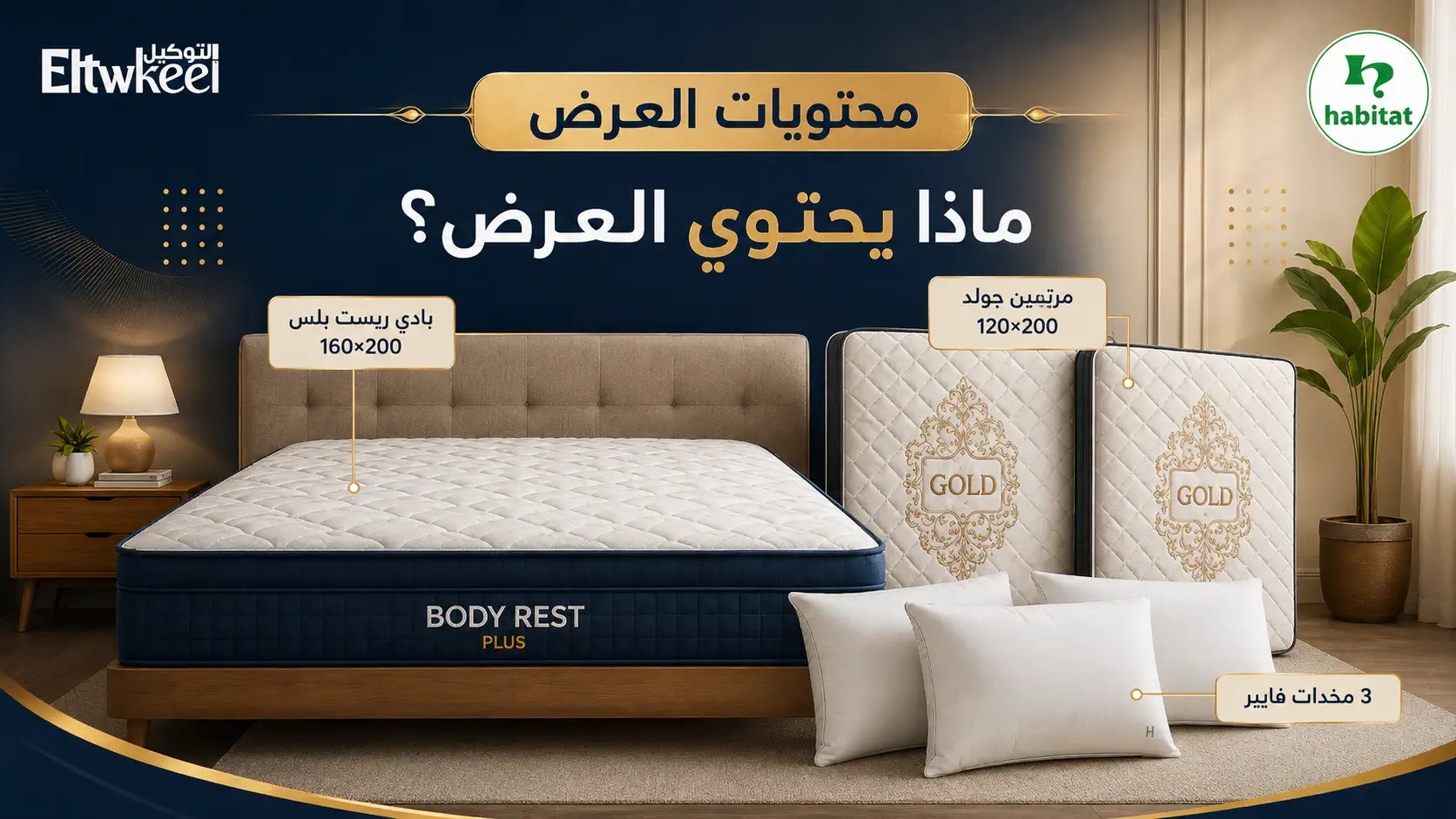 محتويات العرض